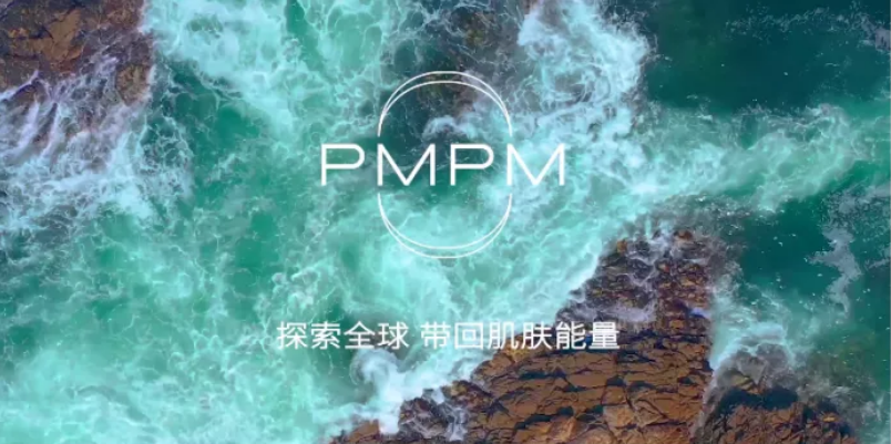 pmpm创业公司的生态位生存法则