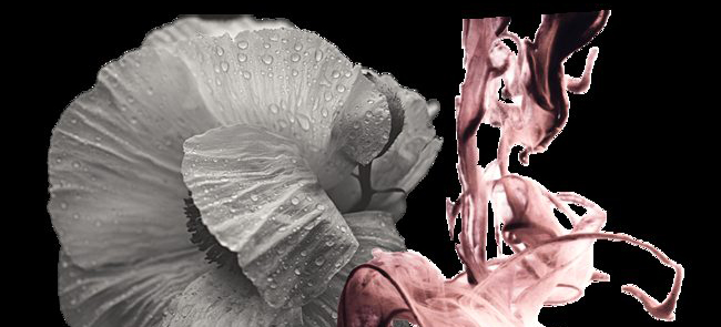 美国香精香料巨头 IFF 收购瑞典环保乳化剂供应商 Speximo