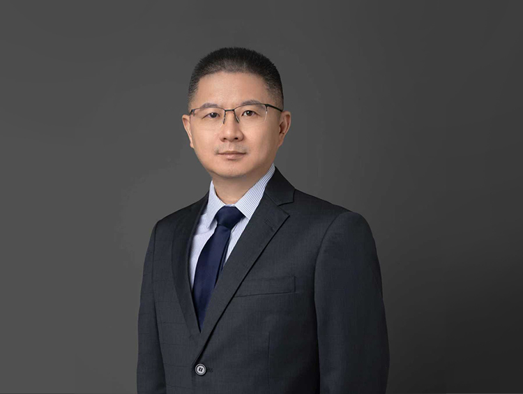 专访维琪科技创始人丁文锋博士:中国原料创新没有捷径!